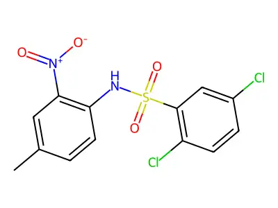 2,5-dichloro-N-(4-methyl-2-nitrophenyl)benzenesulfonamide structure