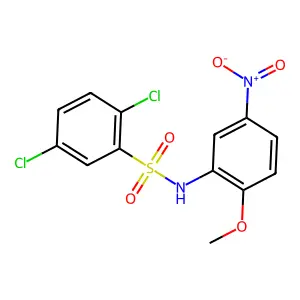 2,5-dichloro-N-(2-methoxy-5-nitrophenyl)benzenesulfonamide structure