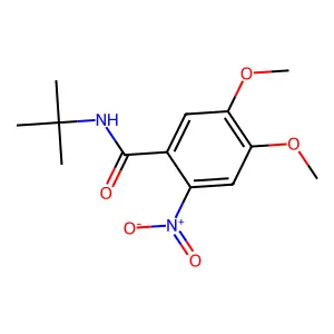 N-tert-butyl-4,5-dimethoxy-2-nitrobenzamide structure