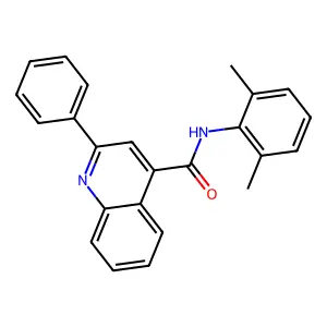 N-(2,6-dimethylphenyl)-2-phenylquinoline-4-carboxamide structure
