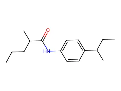 N-(4-butan-2-ylphenyl)-2-methylpentanamide structure