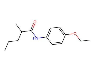 N-(4-ethoxyphenyl)-2-methylpentanamide structure