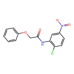 N-(2-chloro-5-nitrophenyl)-2-phenoxyacetamide structure
