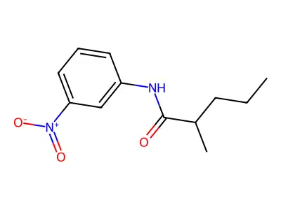 2-methyl-N-(3-nitrophenyl)pentanamide structure