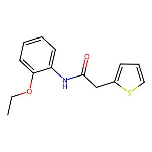 N-(2-ethoxyphenyl)-2-(2-thienyl)acetamide structure
