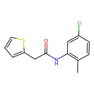 N-(5-chloro-2-methylphenyl)-2-(2-thienyl)acetamide structure