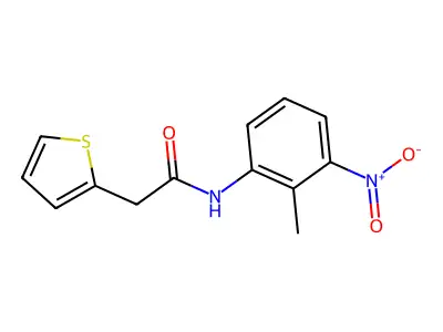 N-(2-methyl-3-nitrophenyl)-2-(2-thienyl)acetamide structure