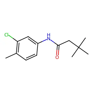 N-(3-氯-4-甲基苯基)-3,3-二甲基丁酰胺 structure