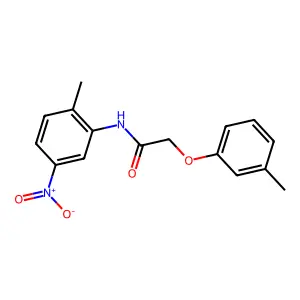 N-(2-methyl-5-nitrophenyl)-2-(3-methylphenoxy)acetamide structure