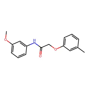 N-(3-methoxyphenyl)-2-(3-methylphenoxy)acetamide structure