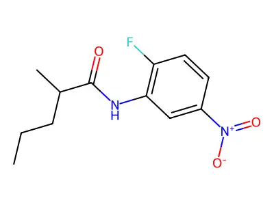 N-(2-fluoro-5-nitrophenyl)-2-methylpentanamide structure