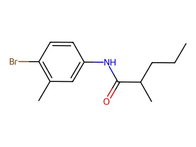 N-(4-bromo-3-methylphenyl)-2-methylpentanamide structure