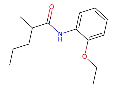 N-(2-ethoxyphenyl)-2-methylpentanamide structure