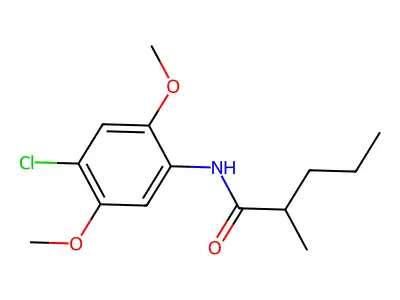 N-(4-chloro-2,5-dimethoxyphenyl)-2-methylpentanamide structure