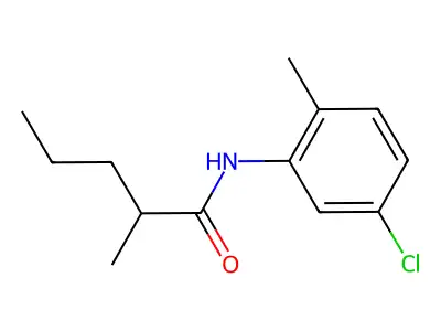 N-(5-chloro-2-methylphenyl)-2-methylpentanamide structure