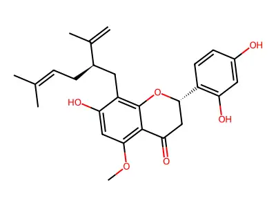 Marini structure
