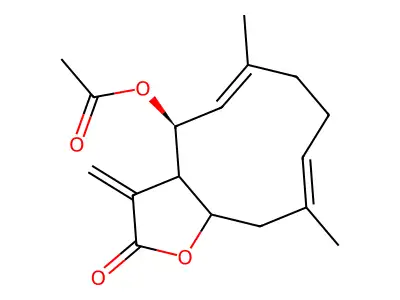 CTK1C5538 structure