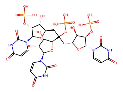 Uridylyl-(3'-5')-uridylyl-(3'-5')-3'-uridylic acid structure
