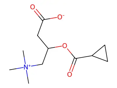 Cyclopropanecarbonylcarnitine structure