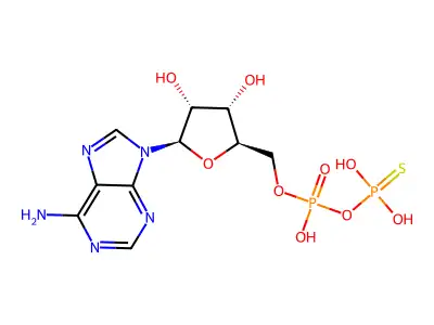 Adpbetas structure