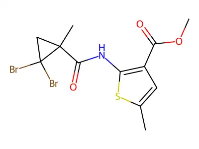 BIM-0031625.P001 structure
