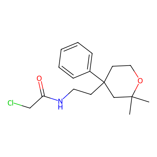 2-chloro-N-[2-(2,2-dimethyl-4-phenyl-4-oxanyl)ethyl]acetamide structure