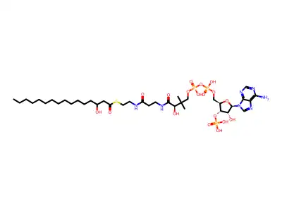 b-Hydroxypalmitoyl-CoA structure