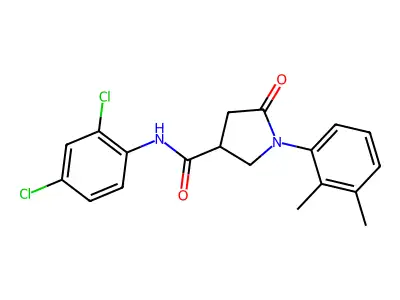 N-(2,4-dichlorophenyl)-1-(2,3-dimethylphenyl)-5-oxopyrrolidine-3-carboxamide structure