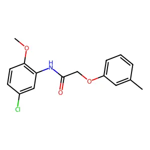 N-(5-chloro-2-methoxyphenyl)-2-(3-methylphenoxy)acetamide structure