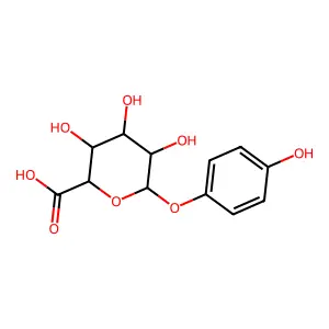 Quinol glucuronide structure