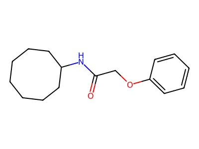N-cyclooctyl-2-phenoxyacetamide structure
