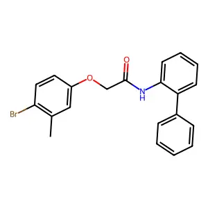 2-(4-bromo-3-methylphenoxy)-N-(2-phenylphenyl)acetamide structure