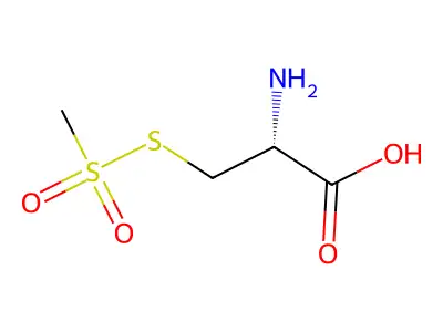 Cys-MTS structure