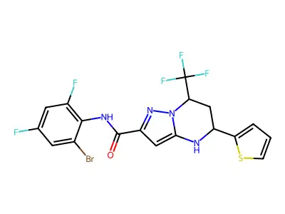 BIM-0011671.P001 structure