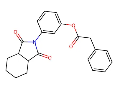 3-(1,3-dioxooctahydro-2H-isoindol-2-yl)phenyl phenylacetate structure