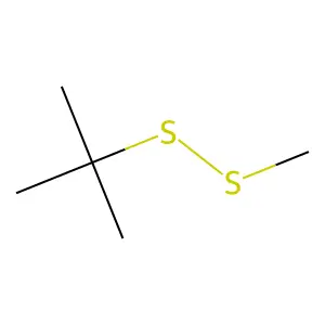 Methyl tert-butyl disulfide structure