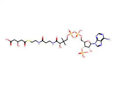 3-hydroxyglutaryl-coenzyme A structure