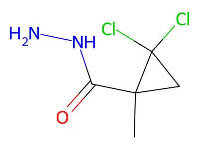 2,2-Dichloro-1-methylcyclopropanecarbohydrazide structure