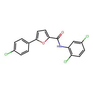5-(4-chlorophenyl)-N-(2,5-dichlorophenyl)furan-2-carboxamide structure