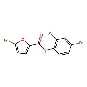 5-bromo-N-(2,4-dibromophenyl)furan-2-carboxamide structure