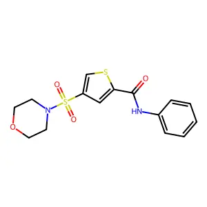 4-morpholin-4-ylsulfonyl-N-phenylthiophene-2-carboxamide structure