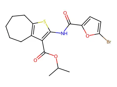BIM-0018082.P001 structure
