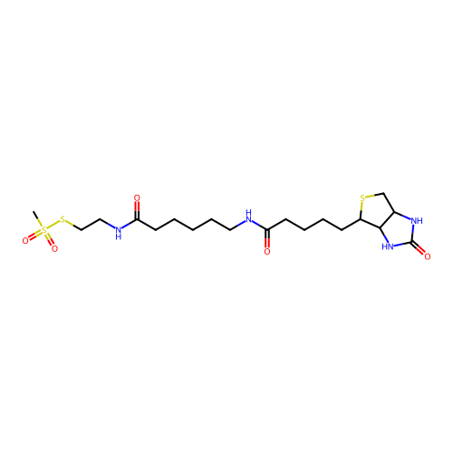 N-Biotinylcaproylaminoethyl Methanethiosulfonate structure