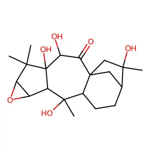 Styrene-butadiene itaconic acid structure