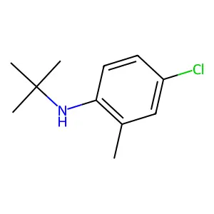 N-tert-butyl-4-chloro-2-methylaniline structure