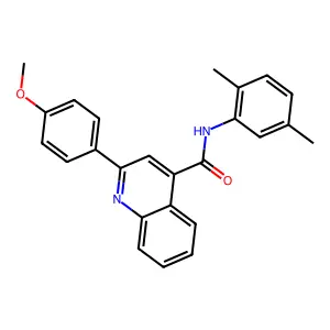N-(2,5-dimethylphenyl)-2-(4-methoxyphenyl)quinoline-4-carboxamide structure