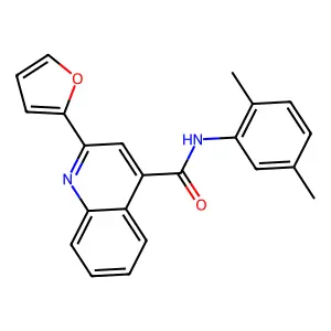 N-(2,5-dimethylphenyl)-2-(furan-2-yl)quinoline-4-carboxamide structure