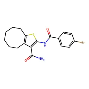 BIM-0028781.P001 structure