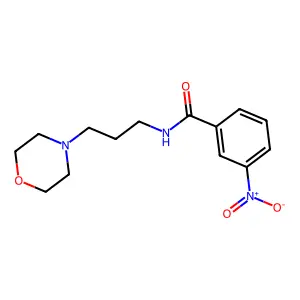 N-(3-morpholin-4-ylpropyl)-3-nitrobenzamide structure