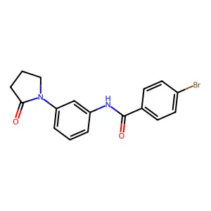 4-bromo-N-[3-(2-oxopyrrolidin-1-yl)phenyl]benzamide structure
